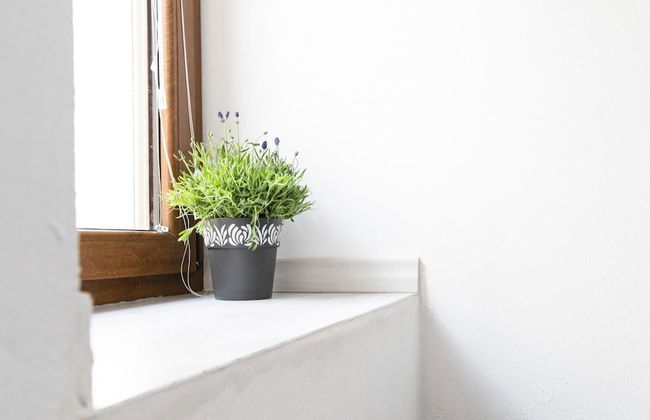 Casa di Elena in Iglesias - Foto 21