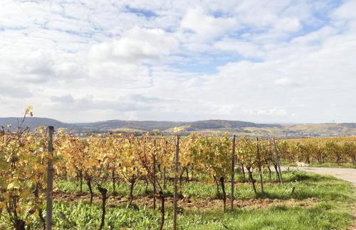 moselquartier terlinden- Apartment - Foto 12