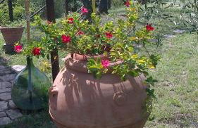 La Casetta di Barbara - Foto 35