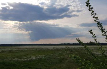 Zdalnie z Lasu - Siedlisko w Puszczy Białowieskiej - Foto 44