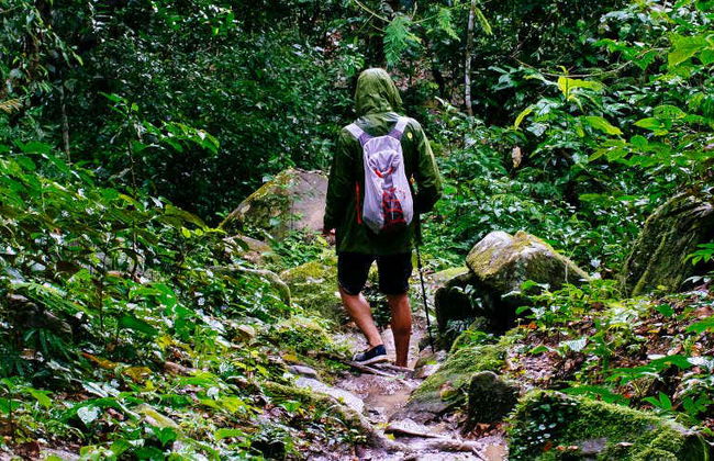Trilha pela floresta amazônica + Comunidade de Santa Teresita - Foto 1