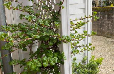 4-Zimmer-Apartment-Saarbrücken-Ost für privat und geschäftlich Reisende - Foto 3