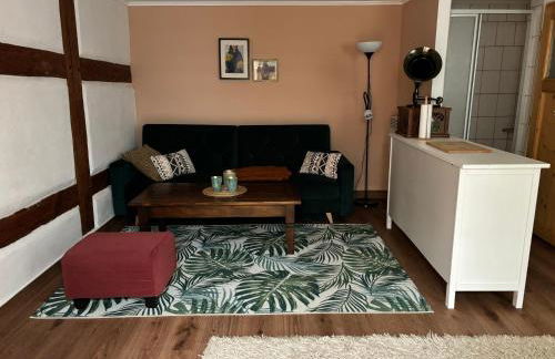 Altstadt & See & Garten Haustiere willkommen - Foto 24