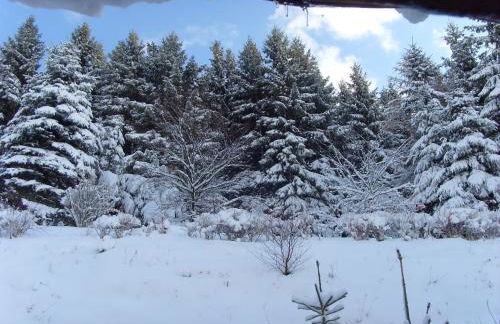 Wohnung bei Willingen für Wintersport - Foto 19