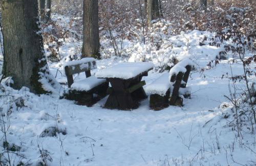 Ferienwohnung Bockelt - Foto 10