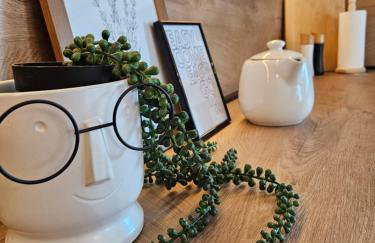 Old Town Đurđevac- 1 garažno mjesto, besplatan wifi te ulaznice za Hrvatsku saharu, mini zoo - Foto 7