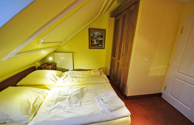 Dünenrose - Foto 14