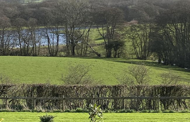 Shepherds Hut-1 Bed-hot Tub -views - Foto 8