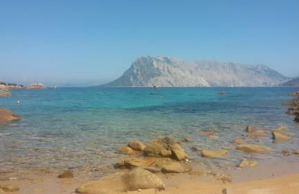 Porto Coda Cavallo Loft - Foto 17