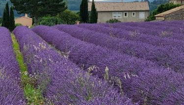 La Grange des Joumillons - Foto 5