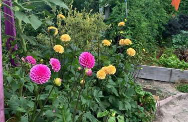 Amazing Santa Cruz Landscaped Paradise - Foto 5