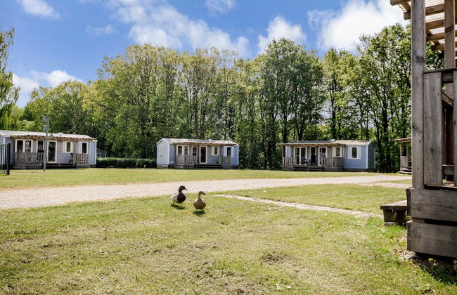 Jelling Familie Camping - Foto 21