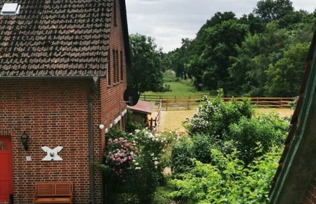 Sophienhof Lieselotte - Foto 39