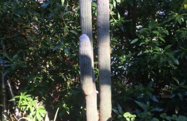 PuntBlanc Residences - Foto 78