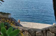 Apartman JURJEVIĆ - Photo 6