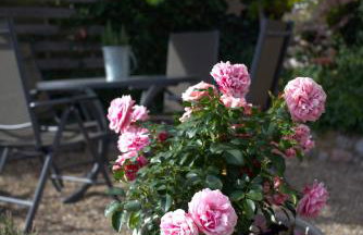 Ferienwohnung am Brunnen - Photo 9