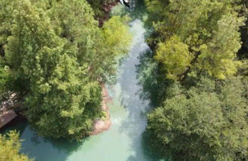 Waterfront Container House In A Magical Forest! - Foto 27