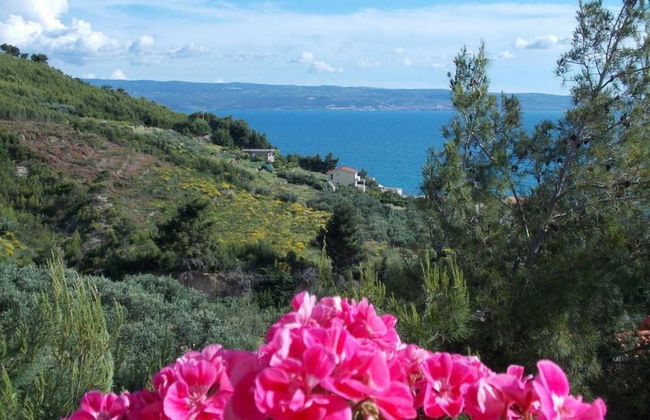 Apartments Bandalo - Foto 51