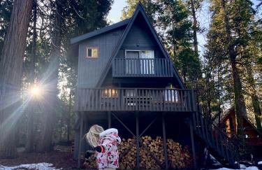 Dogwood Peak Mid-Century A-Frame with AC Style - Foto 65