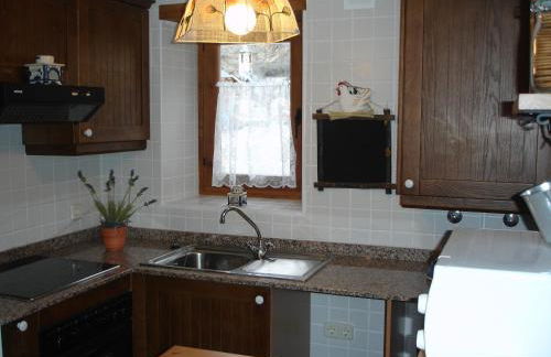 Apartamentos wifi Baqueira & Aigüestortes con jardín privado - Photo 10