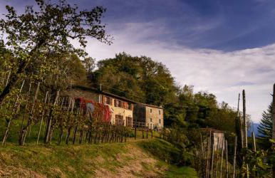 Casa del'Orto - Foto 34