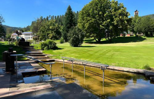 Schwarzwaldhaus Zwink - Photo 13