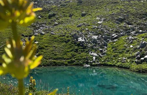 Chalet spacieux de 150m² pour 10 pers, au pied des pistes - FR-1-807-81 - Foto 12