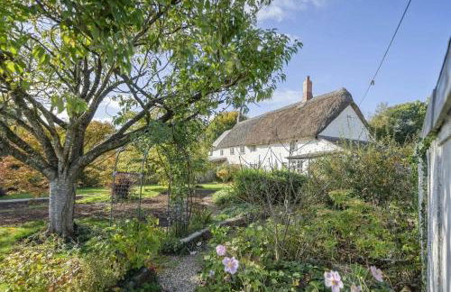 Thatched Cottage & Tranquil Gardens Gated Parking - Foto 11