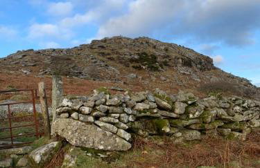 Field View - Foto 35