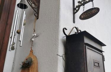 Casa Phoenix Appartamento piano terra immerso nel verde a pochi minuti dalla ciclabile - Foto 9