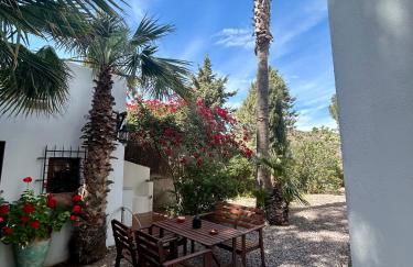 La Washingtonia - Foto 4