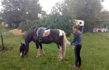 restyled bohemian mobil home la vie en rose - Foto 8