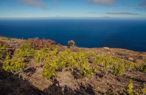 Los Torres II - Foto 54