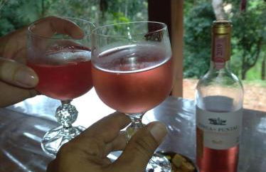 Casa de Campo Rio Miguel - Photo 25