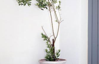 GRΕΛΙΑ ΗΟΜΕ - Foto 40