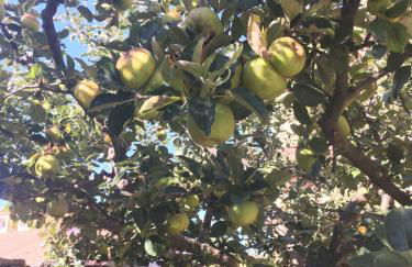 Ermita de Gredos - Foto 67