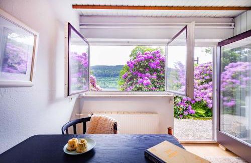 Titisee Haus an der Sonne by Kuckucksnester - Foto 30