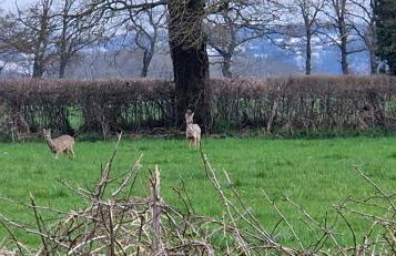 Gîtes du breuil - Photo 22