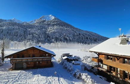 Demi-Chalet Vadel La Panthiaz 15 Pers 5 chambres - Foto 50