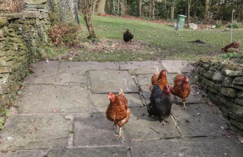 Oakenbank Barn - Foto 27