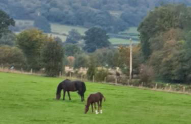 Cosy couples bolthole heart of Brecon Beacons - Photo 32