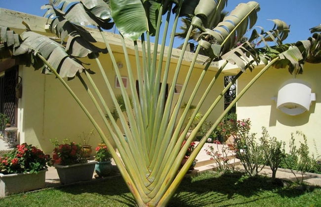 Studio in Tropical Garden - Photo 1