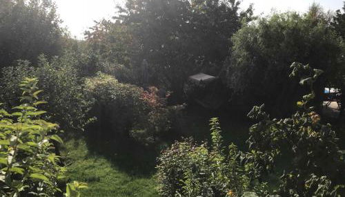 Fewo in sonniger Lage in Sagard - Foto 5, Garden view