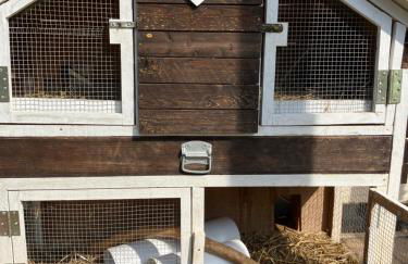 Iflands Hof - Foto 40