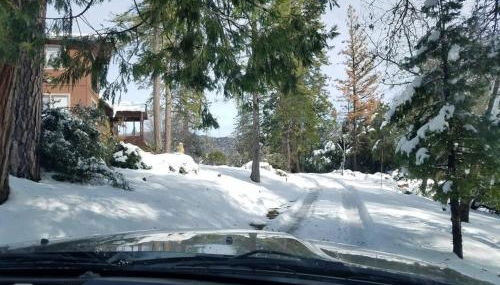 Uncle Grizz's Cabin...get intouch with nature - Foto 4