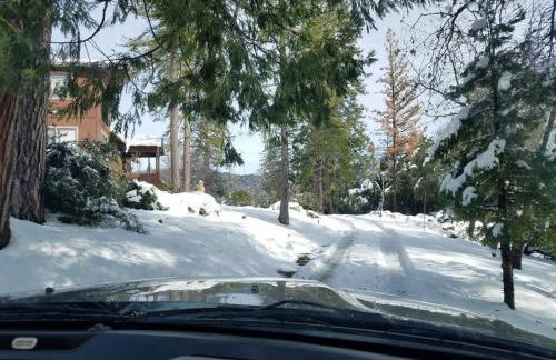 Uncle Grizz's Cabin...get intouch with nature - Foto 4