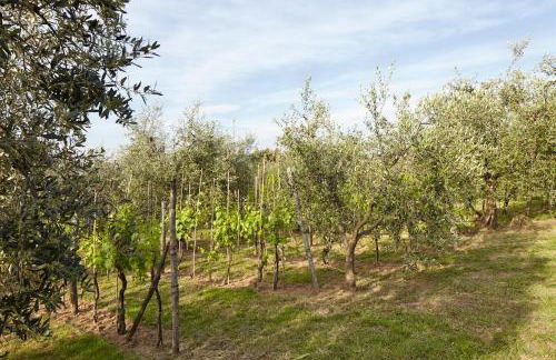 Podere La Casuccia - Foto 30