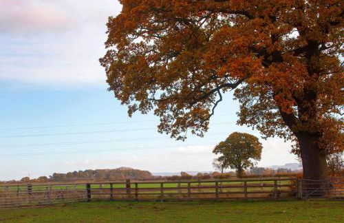 Deerholme Cottage - Foto 43