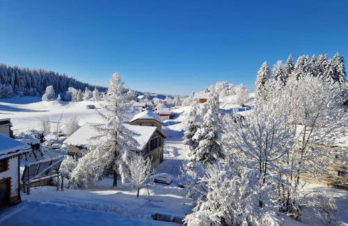 Charme et quiétude au cœur du Haut-Jura - Foto 44