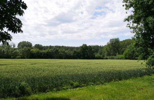 Maison de plain-pied avec parc arboré proche Zoo de Beauval - FR-1-491-335 - Foto 20